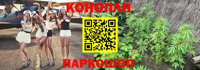 стафф Нальчик
