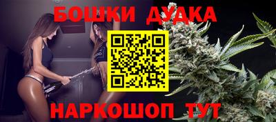 стафф Нальчик